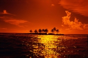 Sunset on Palm Tree Island