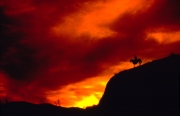 Cowboy On the High Range at Sunset